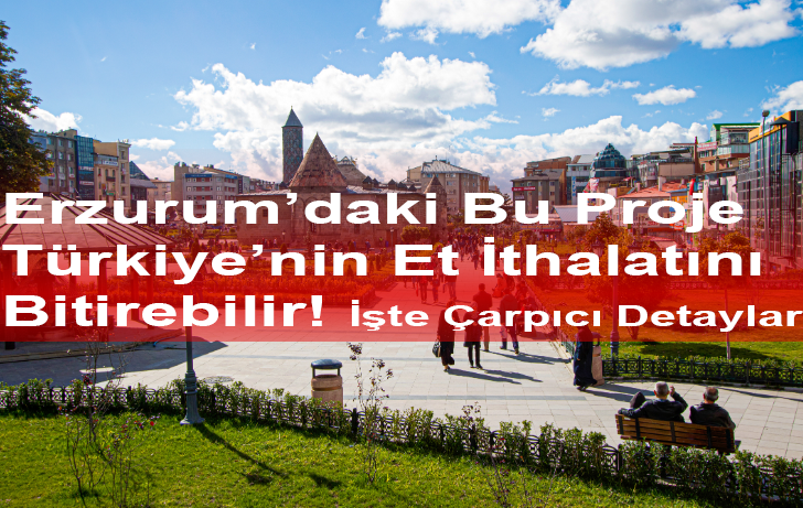 Erzurum’da Kırmızı Et Üretiminde Devrim: Melez Besi Hayvanı Projesi Hayata Geçiyor