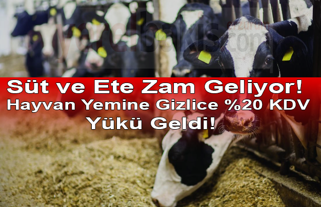 Hayvan Yem Katkılarına KDV Şoku: Muafiyet Kalktı, %20 Vergi Geldi!